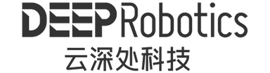 DeepRobotics
